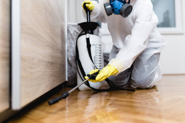 Best Insect Control  in Tn Lakes, WI
