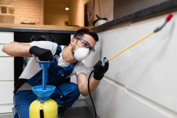 Best Flea Control Services  in Tn Lakes, WI