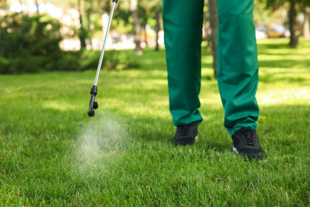 Best Emergency Pest Control  in Tn Lakes, WI