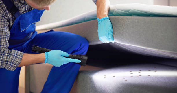 Best Best Pest Control Companies  in Tn Lakes, WI