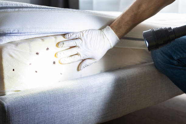 Best Exterminator Services  in Tn Lakes, WI