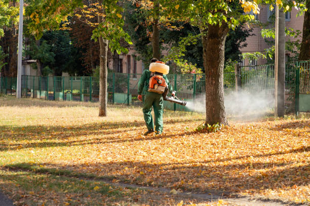 Best Spider Control Near Me  in Tn Lakes, WI